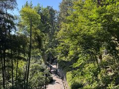 -莫干山风景区