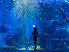 -波塞冬旅游度假区