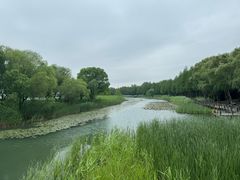 -苏州太湖湖滨国家湿地公园
