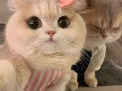 -老妈米线(东圈门店)