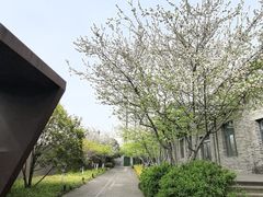 -白塔公园-儿童游乐园