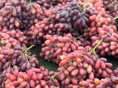 -团泊镇示范集贸市场