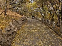 -北山公园