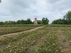 -同里国家湿地公园