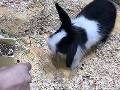-龟与熊猫宠物公园(南坪店)