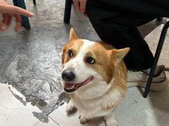 -小梁哥云吞面(黄贝岭店)