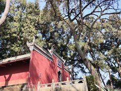 -子昂故里文化旅游区