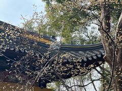 -西园戒幢律寺