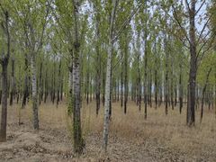 -野鸭湖国家湿地公园