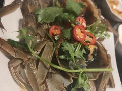 -草鱼先生潮州鱼生·虾生(新厦花园店)