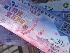 -顾村公园