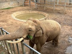 -西霞口神雕山野生动物世界