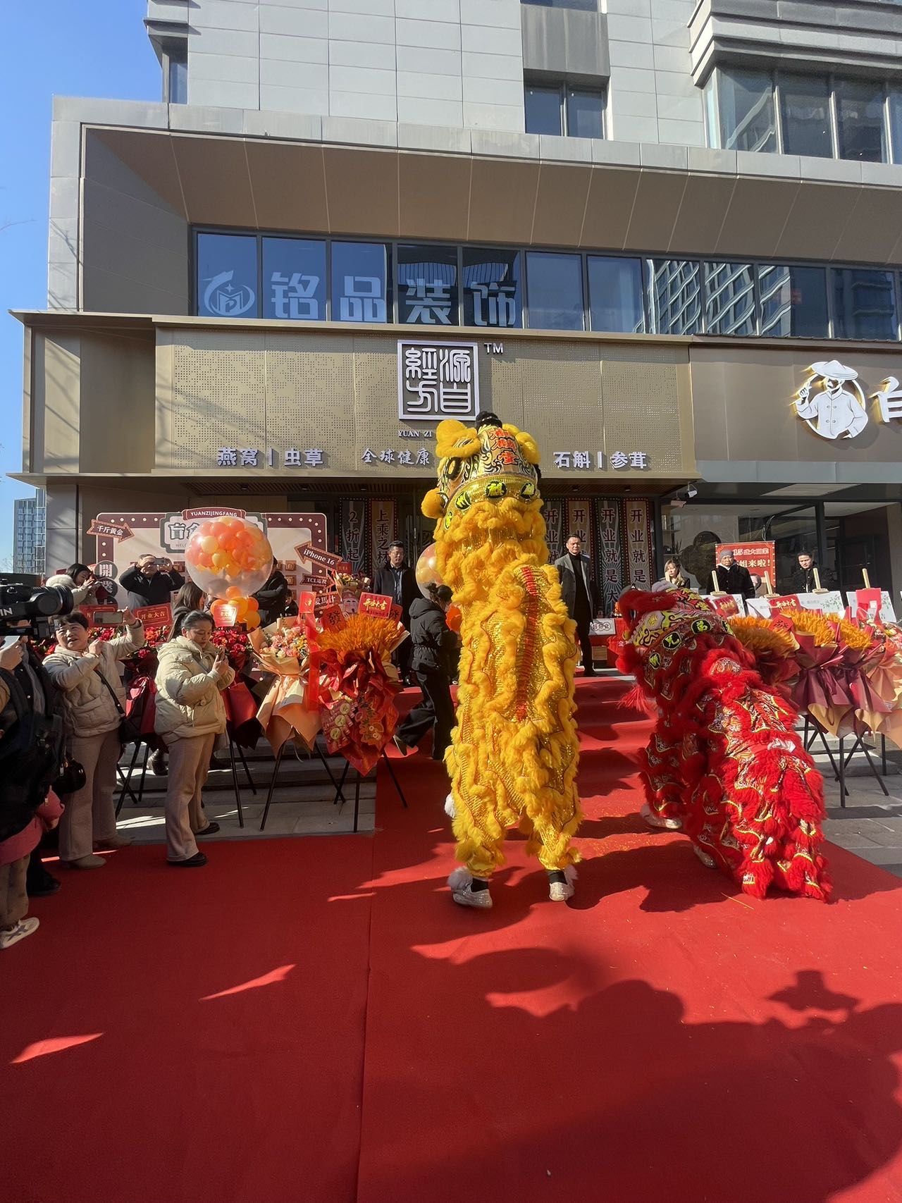 这次是养生局