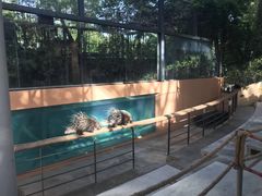 -清迈夜间动物园