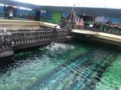 -悉尼海洋生物水族馆