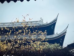 -龙华寺