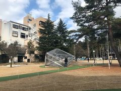 -金泽21世纪美术馆