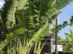 -九龙寨城公园