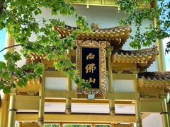 -白佛山景区