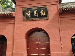 -洛阳白马寺