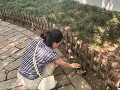 -西园寺素食(西园弄戒幢律寺店)