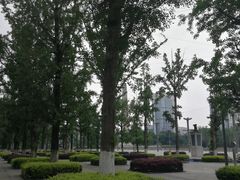 -百林公园-两江幸福广场