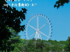 -宜兴龙背山森林公园