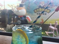 -柴犬高等学院·狗咖·柴犬售卖·宠物训练