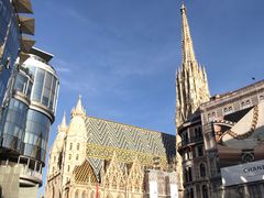 -斯蒂芬主教座堂(Stephansdom)