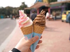 -杭州野生动物世界