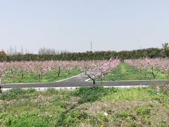 -广富林郊野公园