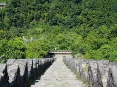 -白鹭湾湿地公园
