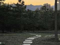 -永定河休闲森林公园