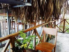 -Rainforest