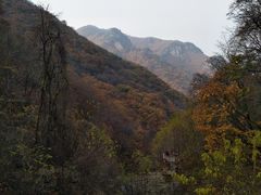 -龙道沟景区