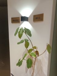 -柠檬一美·Ondapro·轻薄紧致抗衰中心