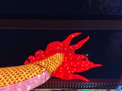 -什刹海