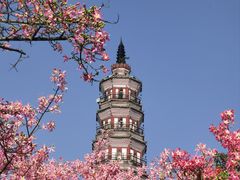 -顺峰山公园