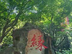 -杭州黄龙洞