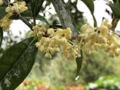 -帐篷客·溪龙茶谷度假酒店