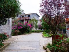 -高荡千年布依古寨旅游景区