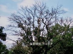 -贵阳市花溪国家城市湿地公园