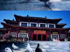 -三亚南山文化旅游区