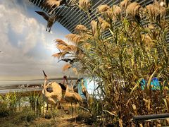 -中国湿地博物馆