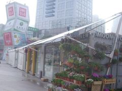 -证大大拇指广场(芳甸路店)