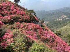 -木兰云雾山