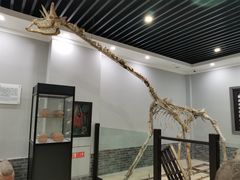 -游龙石文化科普馆