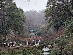 -岳麓山风景名胜区