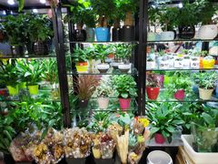 -花辰月夕花坊(北滨路店)