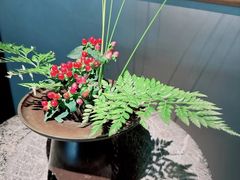 -觀芷隐轩
